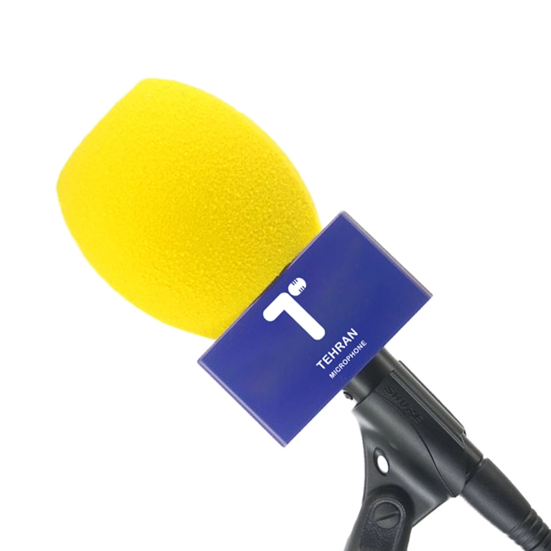 باکس میکروفون برندینگ کوچک با تأثیر بزرگ
