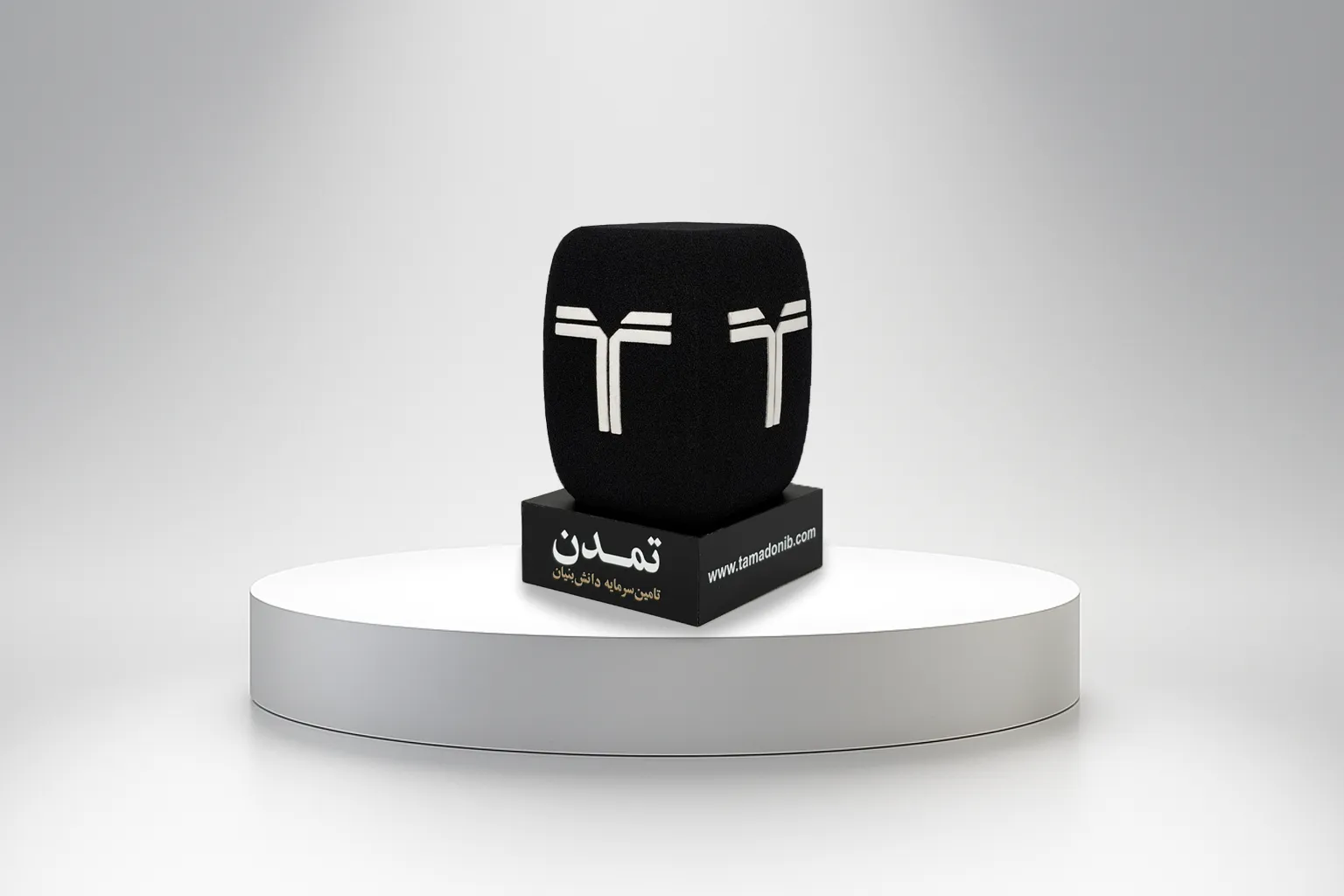 باکس میکروفن؛ ابزار کوچک اما حیاتی برای دیده‌شدن برند در ویدئوهای خبری