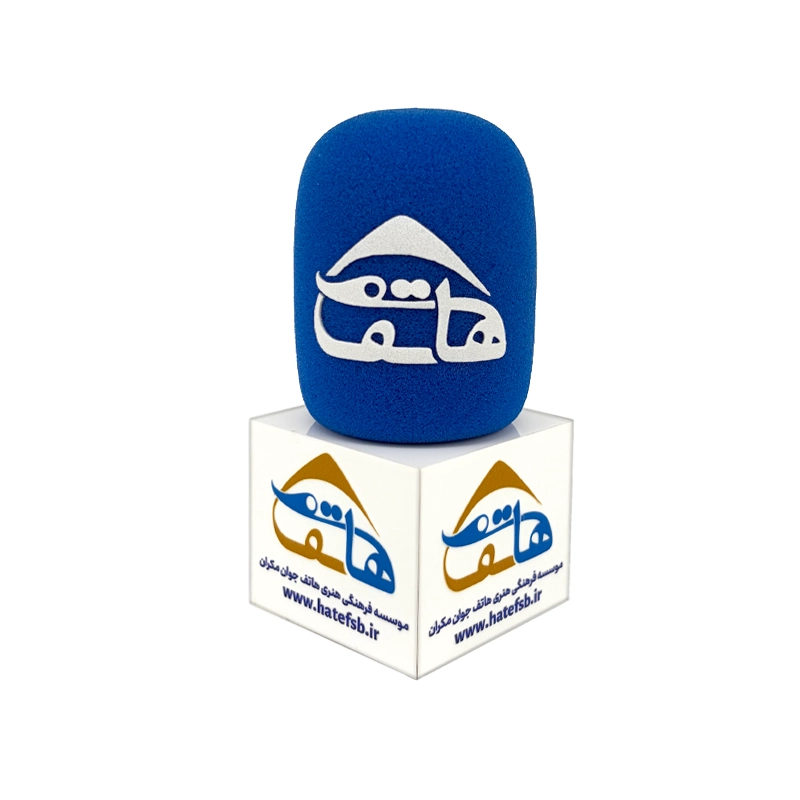 همه چیز درباره باکس میکروفون